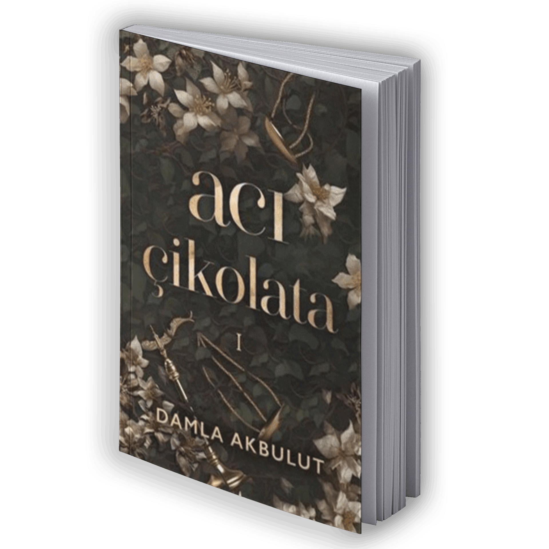 Acı Çikolata 1