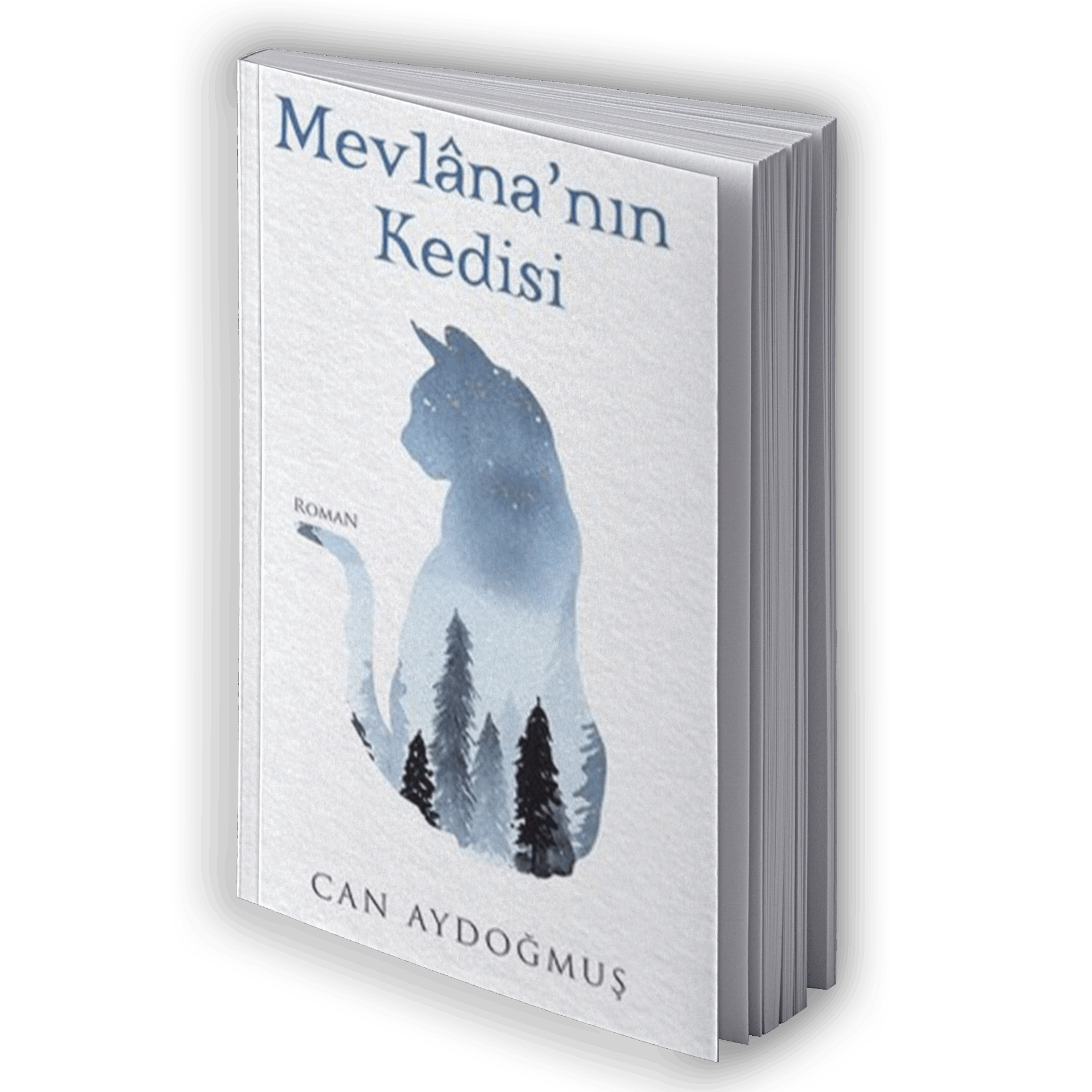 Mevlana'nın Kedisi
