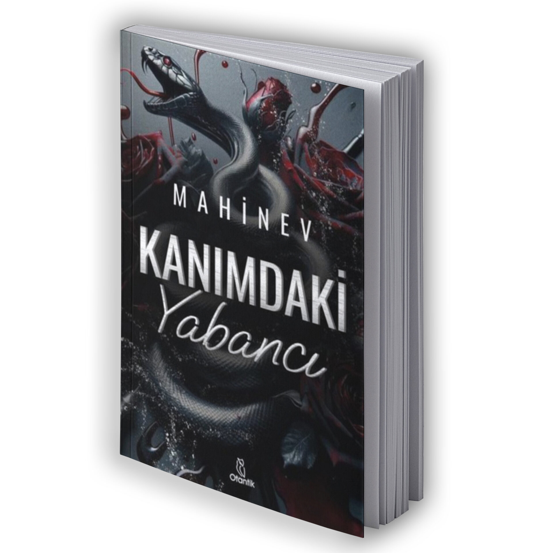 Kanımdaki Yabancı